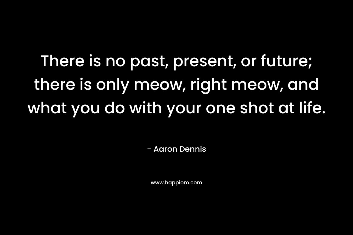 There is no past, present, or future; there is only meow, right meow, and what you do with your one shot at life. – Aaron Dennis