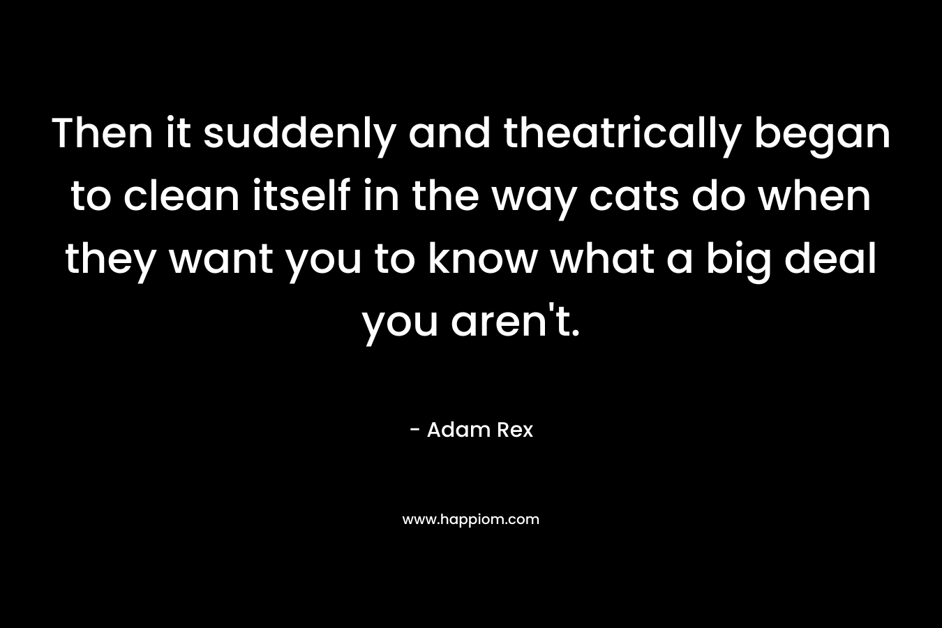Then it suddenly and theatrically began to clean itself in the way cats do when they want you to know what a big deal you aren't.