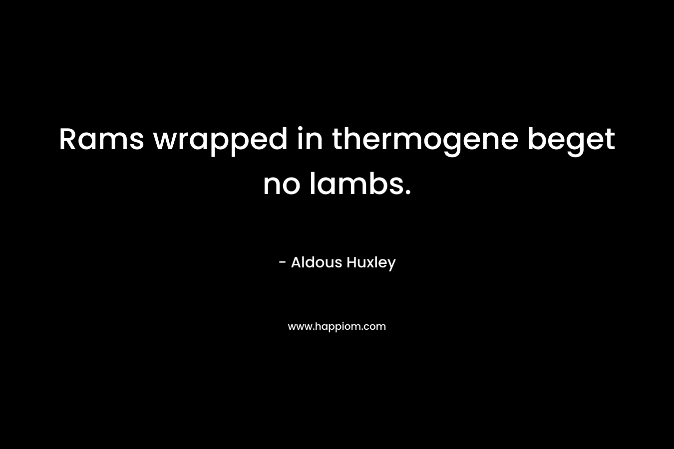 Rams wrapped in thermogene beget no lambs.