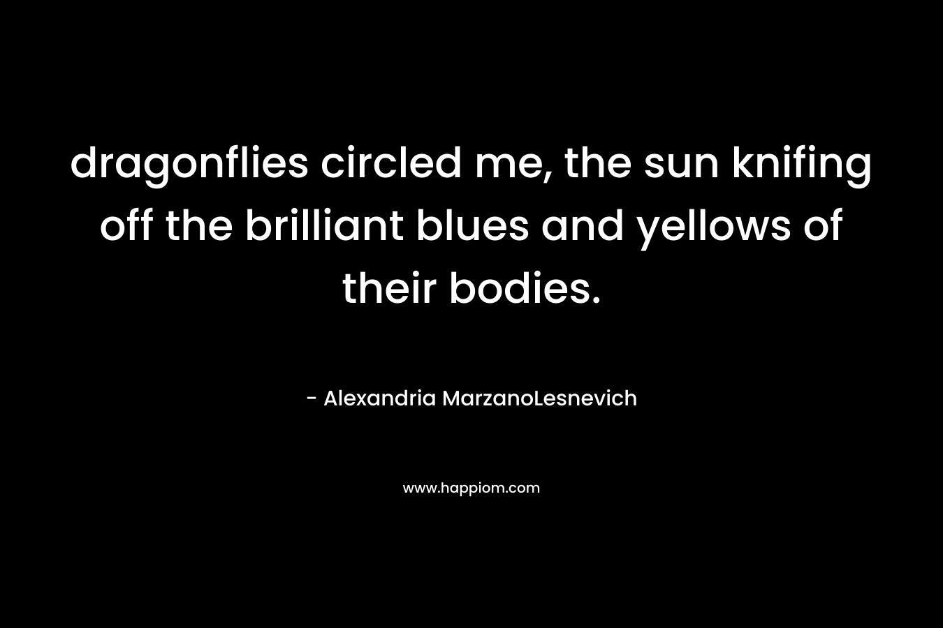 dragonflies circled me, the sun knifing off the brilliant blues and yellows of their bodies. – Alexandria MarzanoLesnevich