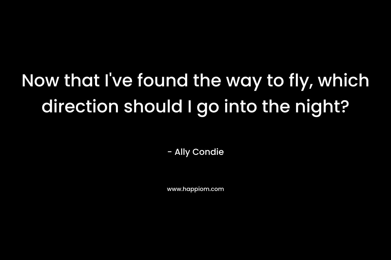 Now that I've found the way to fly, which direction should I go into the night?