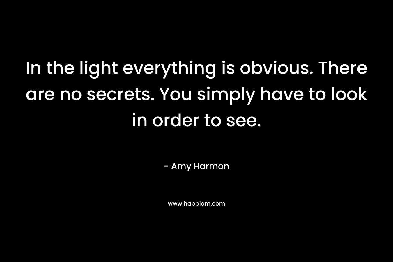 In the light everything is obvious. There are no secrets. You simply have to look in order to see.