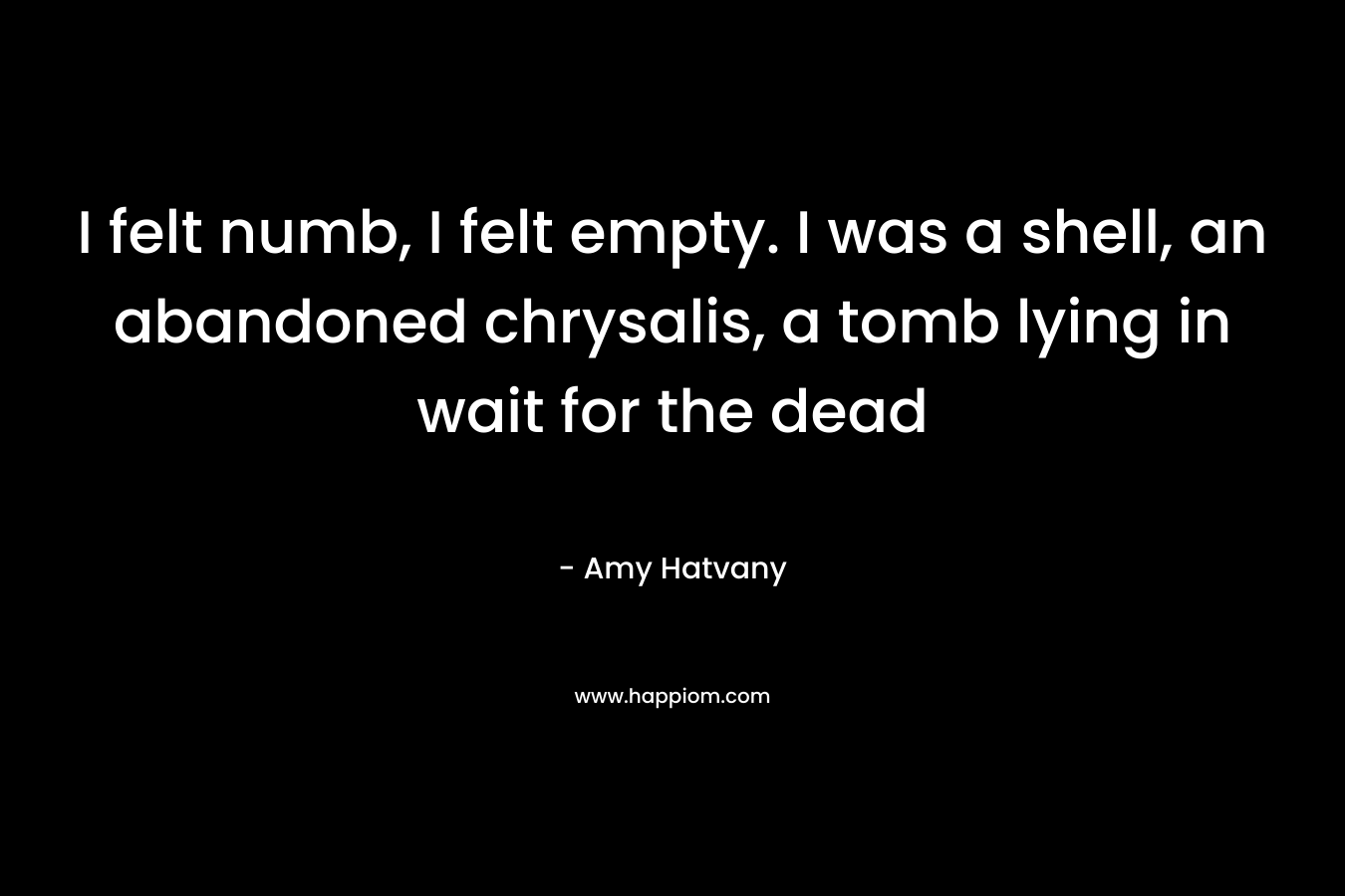I felt numb, I felt empty. I was a shell, an abandoned chrysalis, a tomb lying in wait for the dead – Amy Hatvany