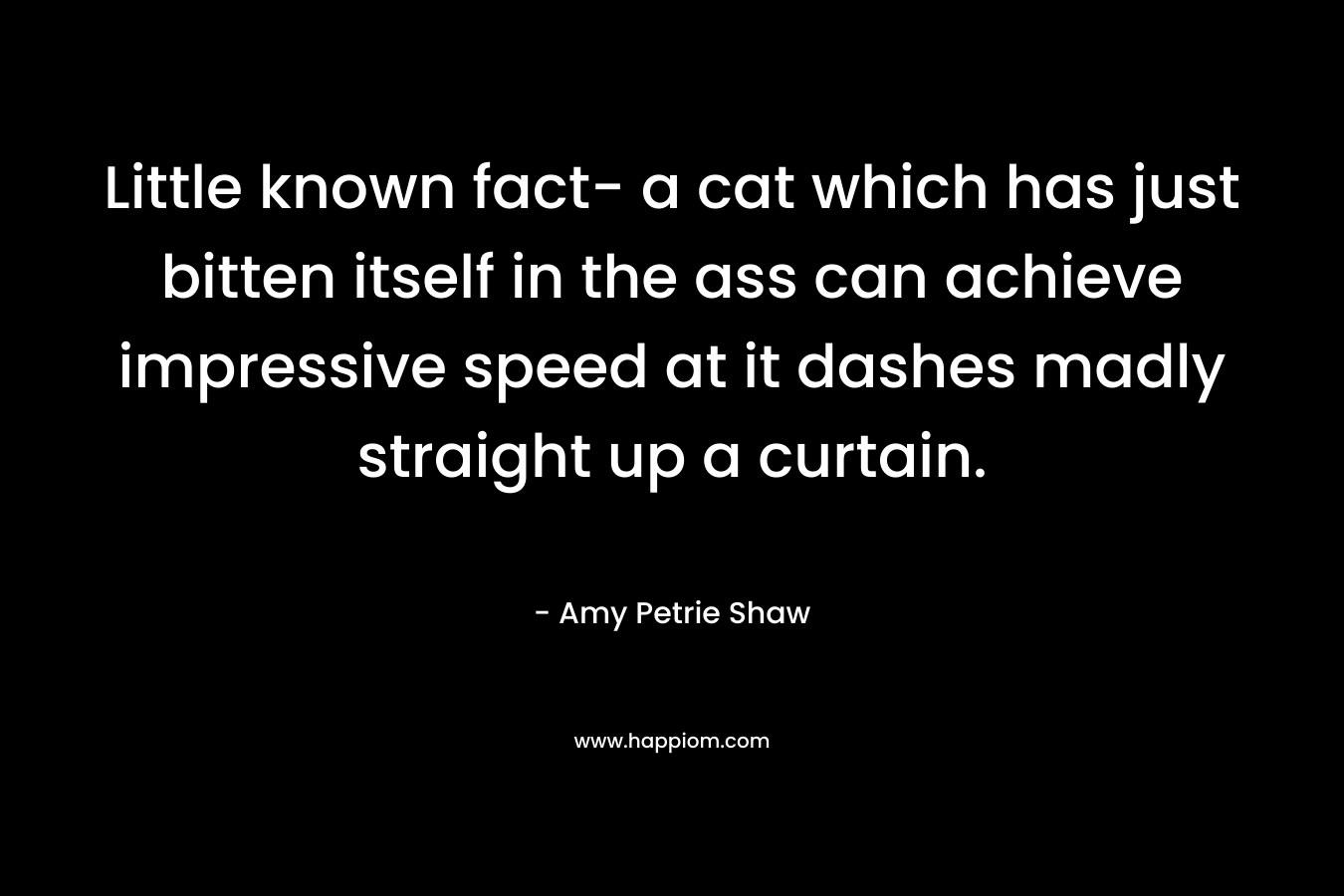 Little known fact- a cat which has just bitten itself in the ass can achieve impressive speed at it dashes madly straight up a curtain. – Amy Petrie Shaw