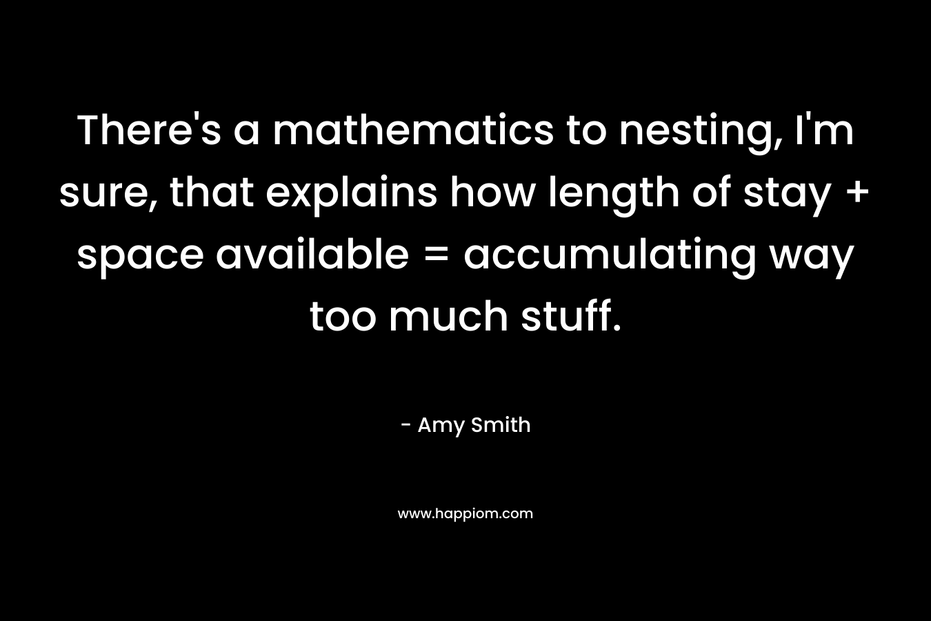 There's a mathematics to nesting, I'm sure, that explains how length of stay + space available = accumulating way too much stuff.