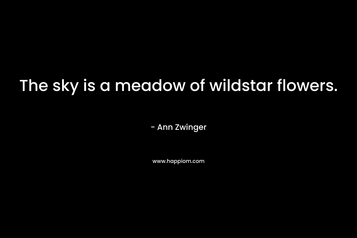 The sky is a meadow of wildstar flowers. – Ann Zwinger