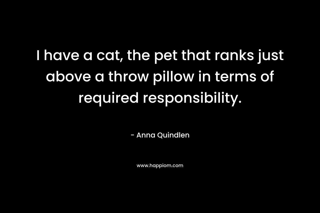 I have a cat, the pet that ranks just above a throw pillow in terms of required responsibility. – Anna Quindlen
