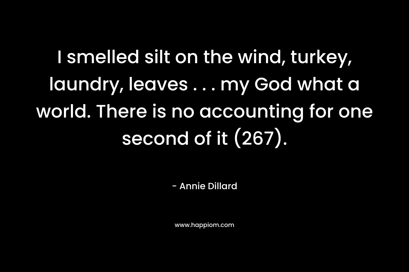 I smelled silt on the wind, turkey, laundry, leaves . . . my God what a world. There is no accounting for one second of it (267). – Annie Dillard