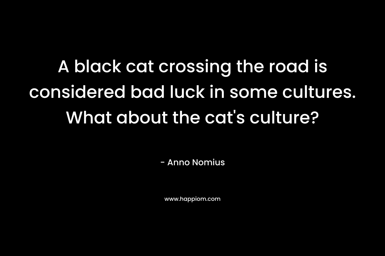 A black cat crossing the road is considered bad luck in some cultures. What about the cat’s culture? – Anno Nomius