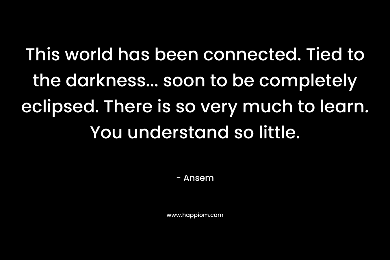 This world has been connected. Tied to the darkness… soon to be completely eclipsed. There is so very much to learn. You understand so little. – Ansem