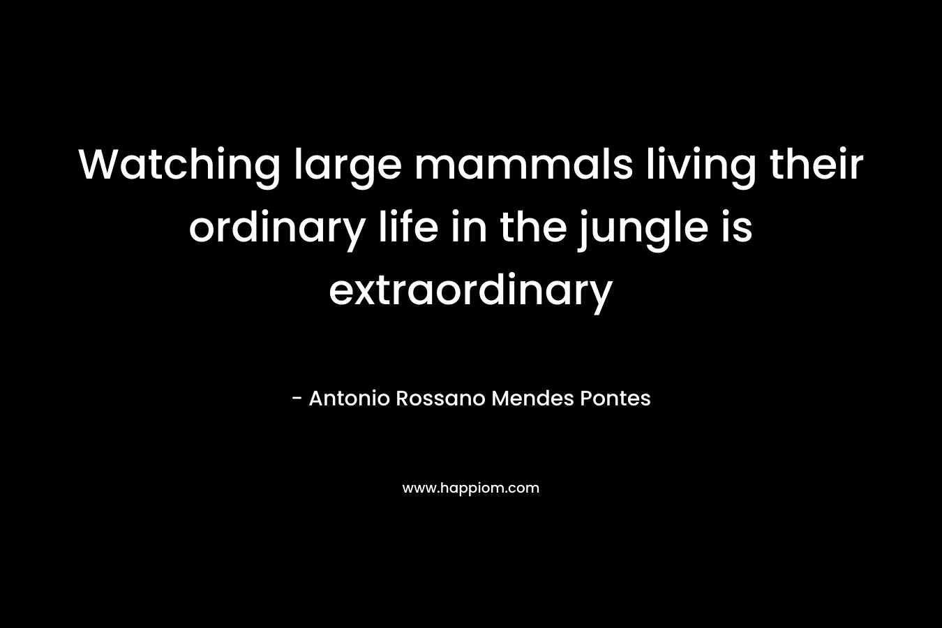 Watching large mammals living their ordinary life in the jungle is extraordinary – Antonio Rossano Mendes Pontes