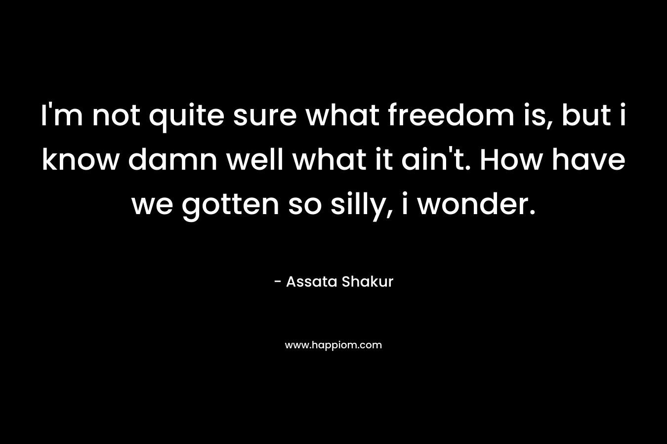 I’m not quite sure what freedom is, but i know damn well what it ain’t. How have we gotten so silly, i wonder. – Assata Shakur