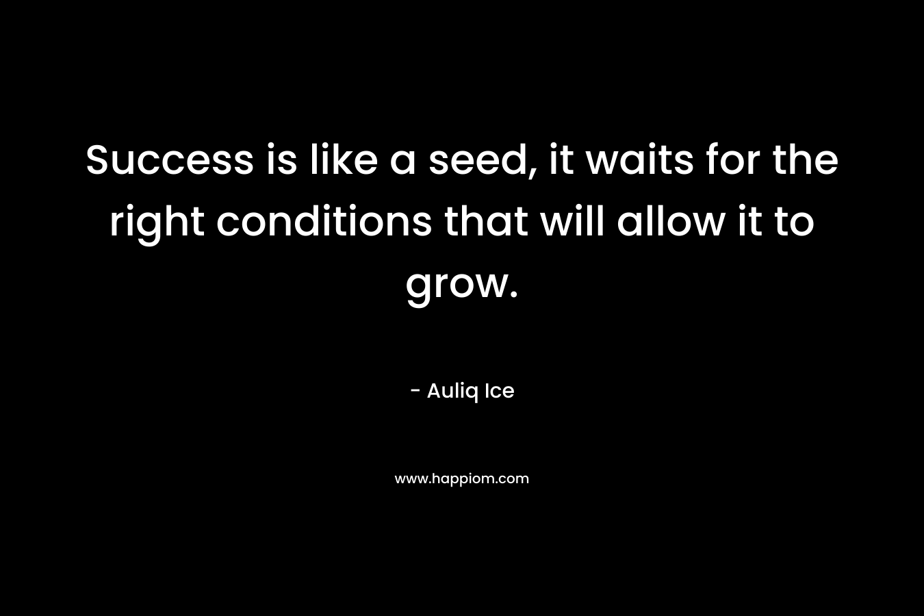 Success is like a seed, it waits for the right conditions that will allow it to grow. – Auliq Ice
