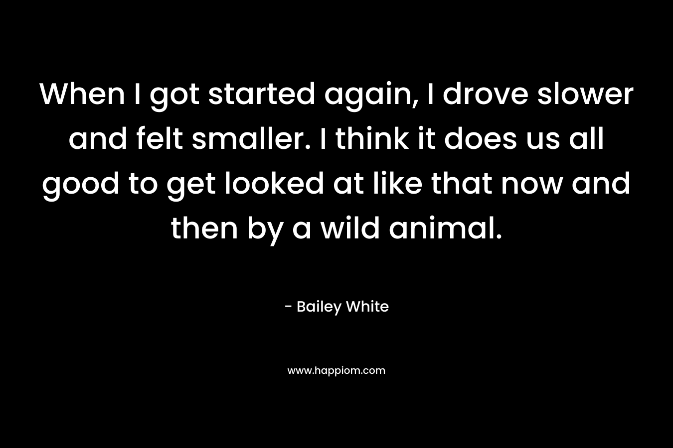 When I got started again, I drove slower and felt smaller. I think it does us all good to get looked at like that now and then by a wild animal. – Bailey White