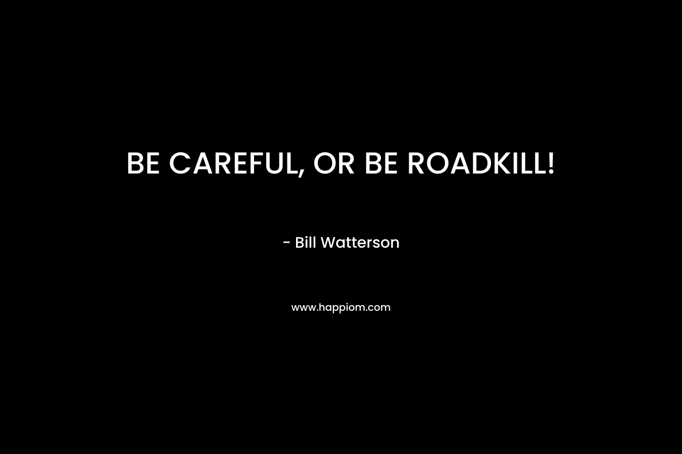 BE CAREFUL, OR BE ROADKILL!