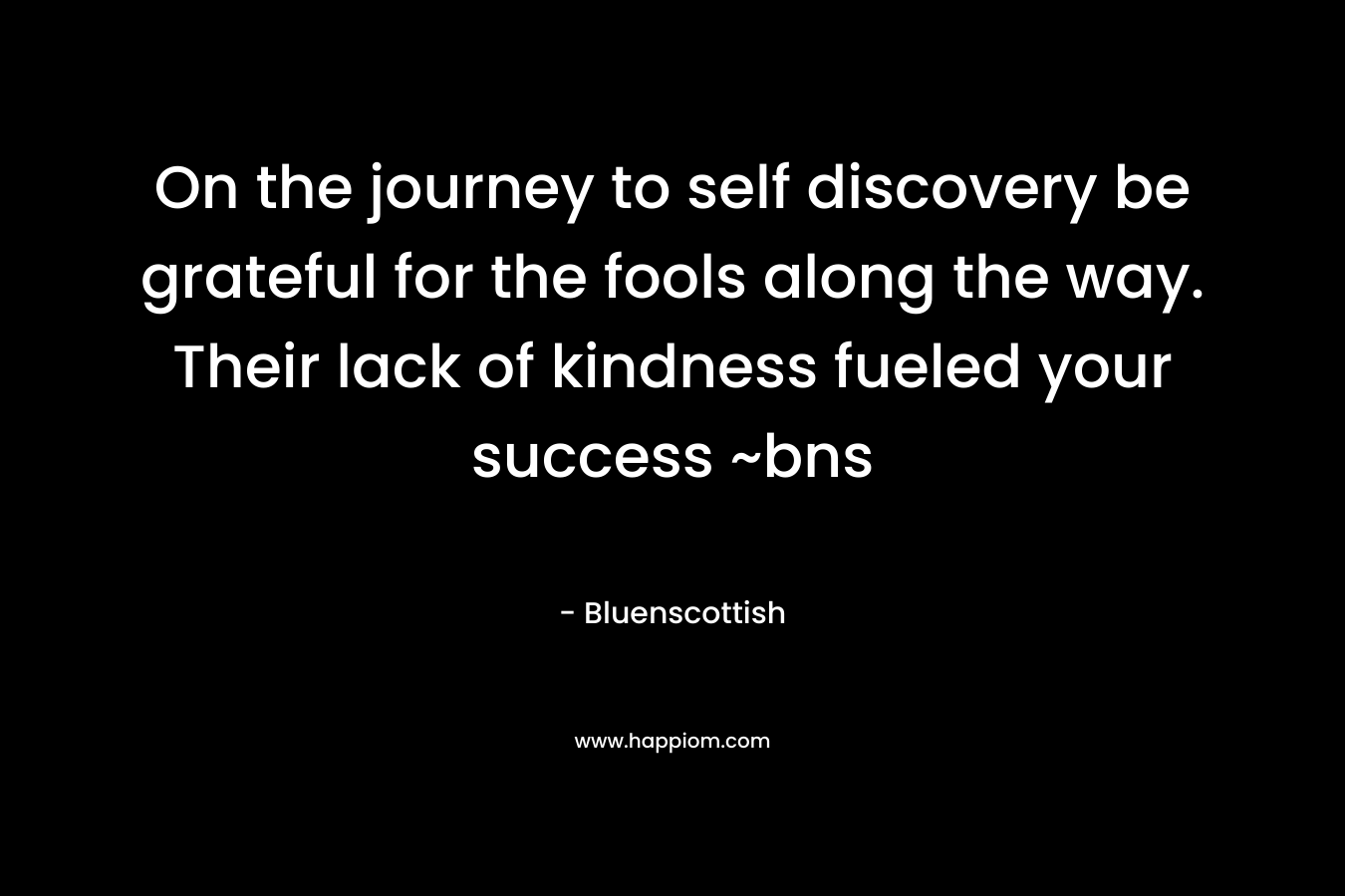 On the journey to self discovery be grateful for the fools along the way. Their lack of kindness fueled your success ~bns