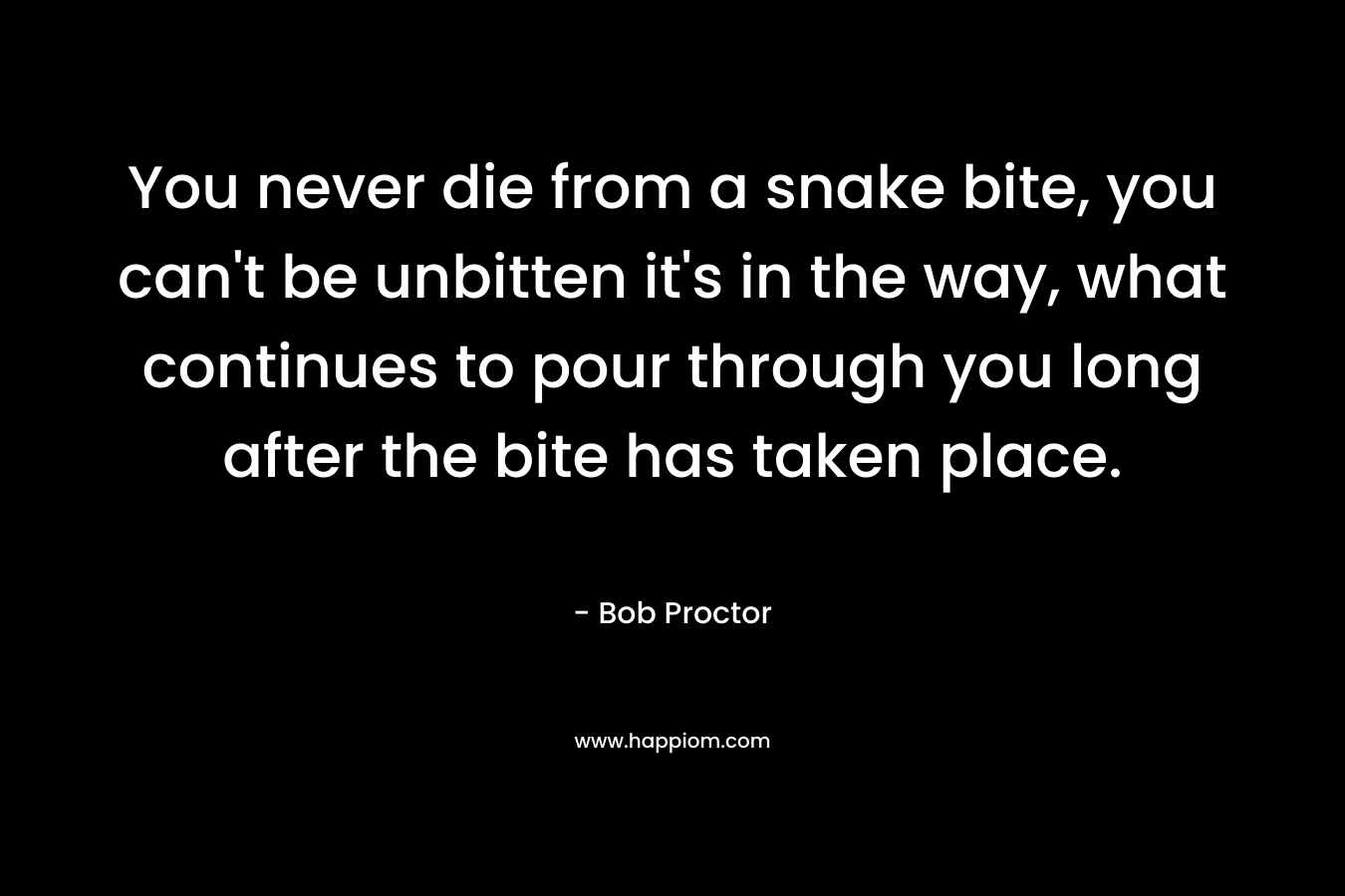 You never die from a snake bite, you can't be unbitten it's in the way, what continues to pour through you long after the bite has taken place.