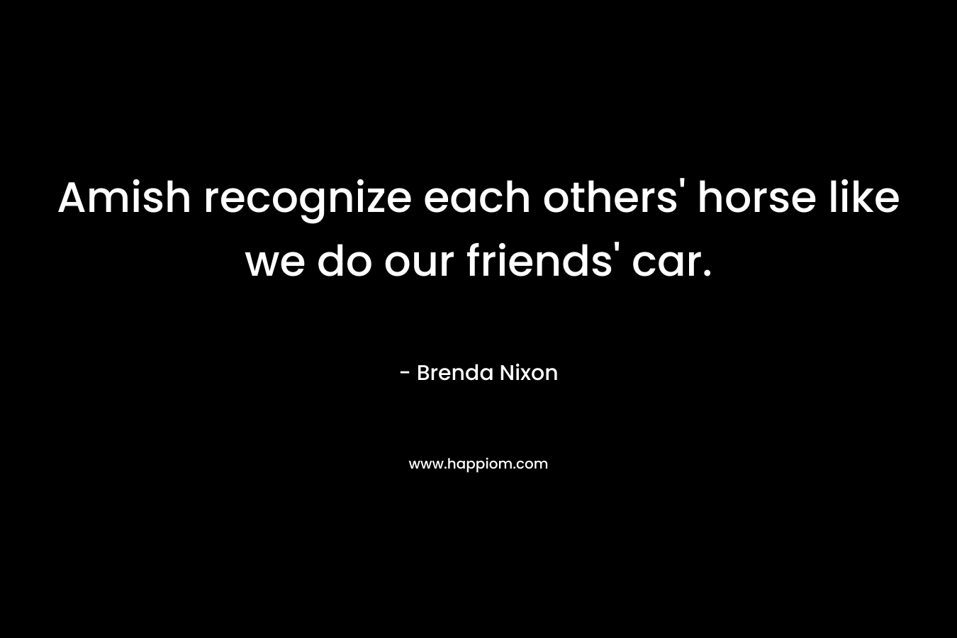 Amish recognize each others’ horse like we do our friends’ car. – Brenda Nixon
