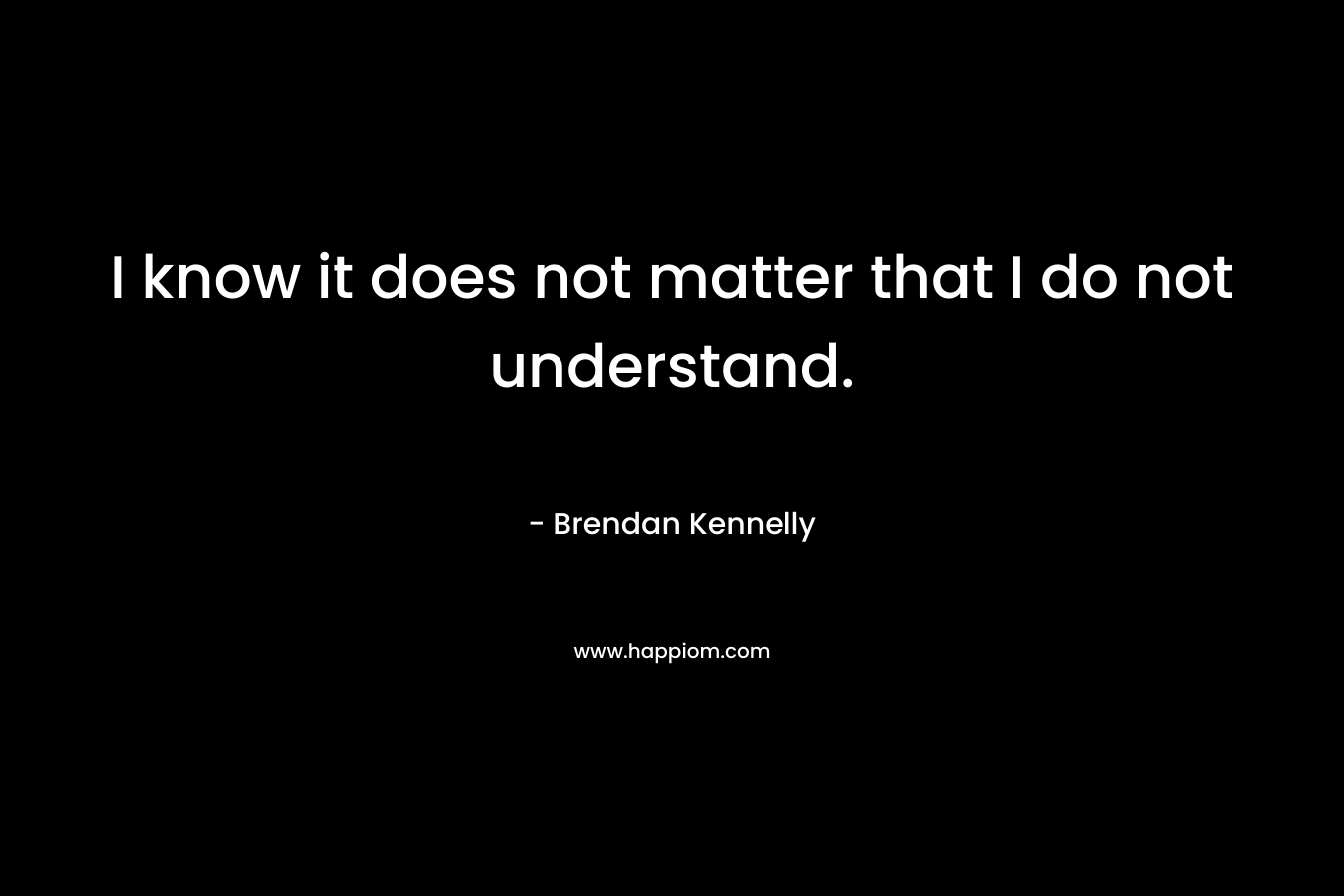 I know it does not matter that I do not understand. – Brendan Kennelly