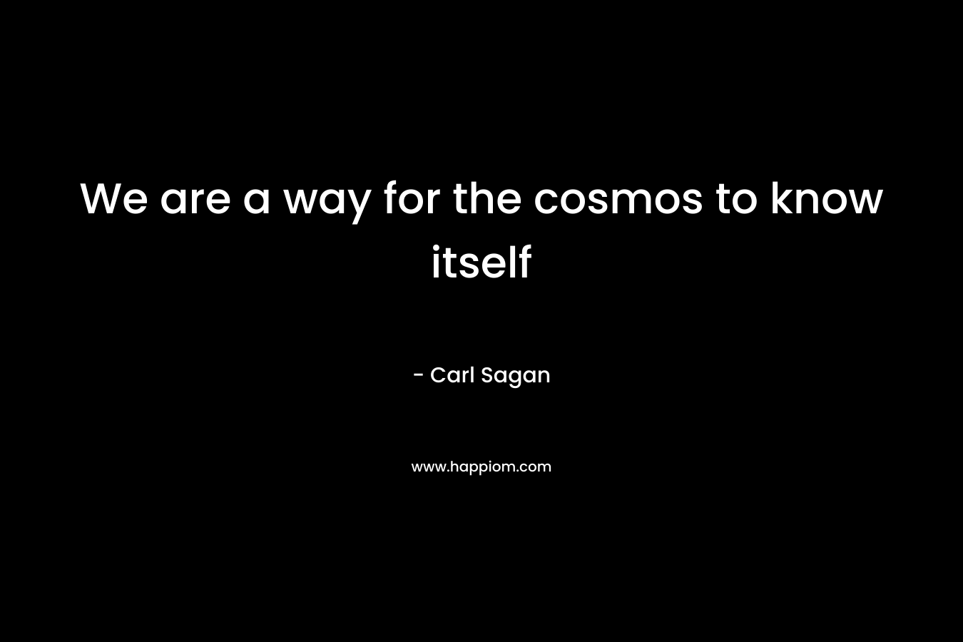 We are a way for the cosmos to know itself