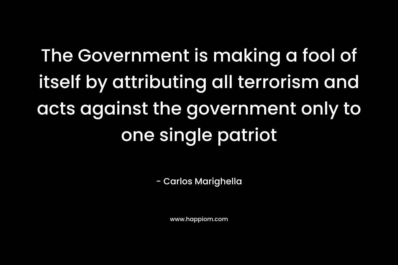 The Government is making a fool of itself by attributing all terrorism and acts against the government only to one single patriot