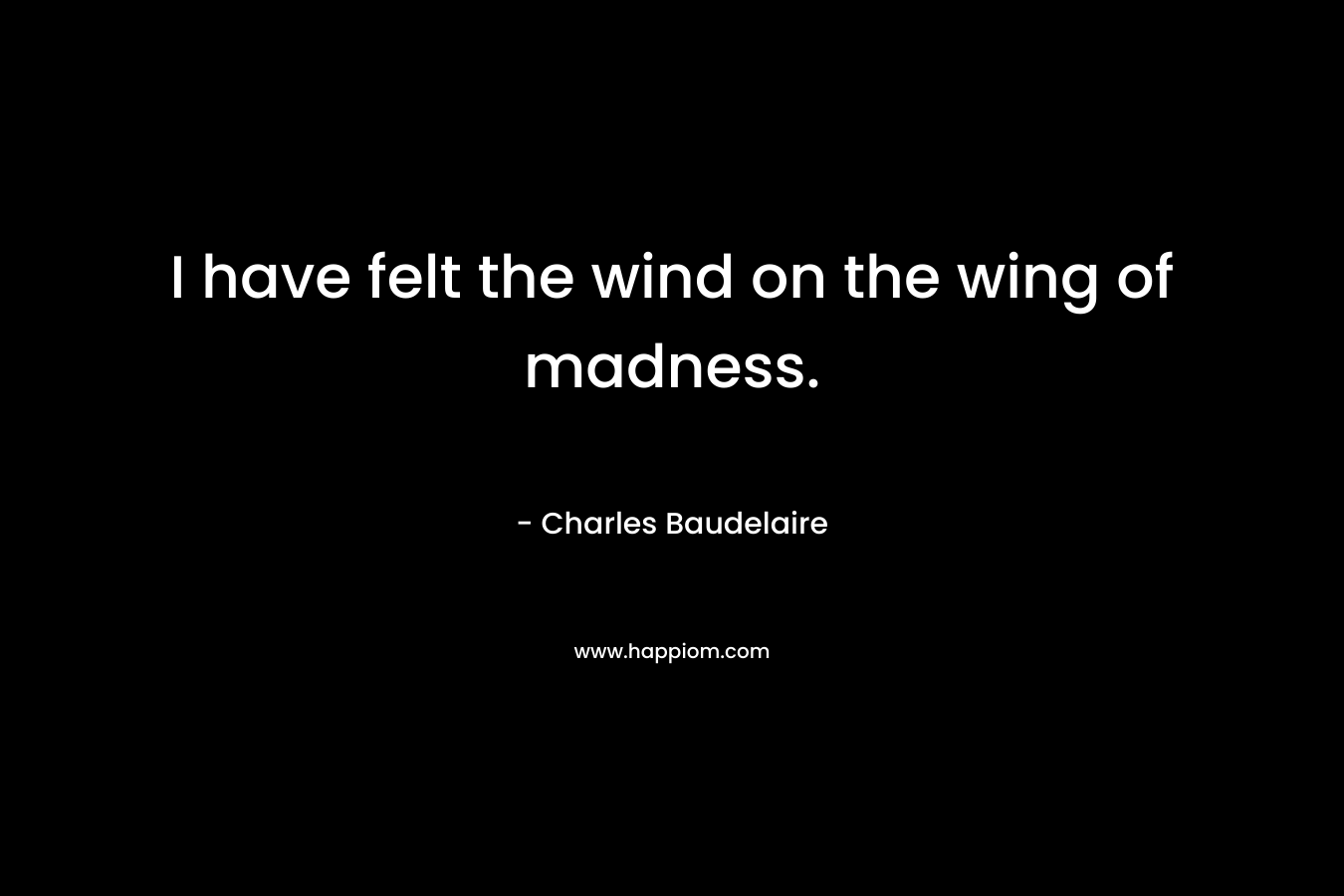 I have felt the wind on the wing of madness. – Charles Baudelaire
