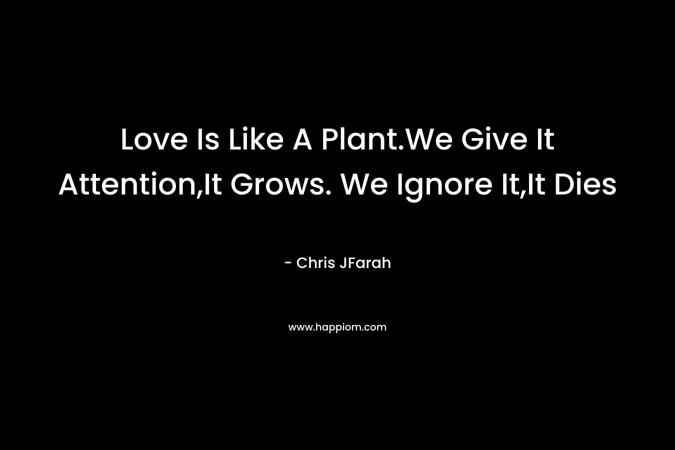 Love Is Like A Plant.We Give It Attention,It Grows. We Ignore It,It Dies