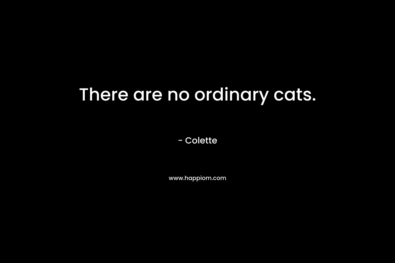 There are no ordinary cats. – Colette