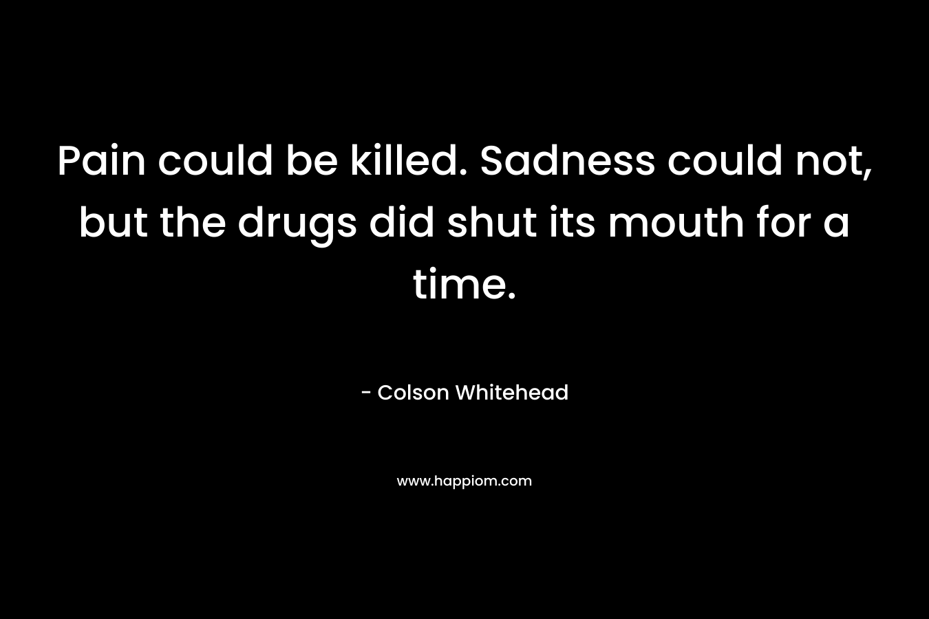 Pain could be killed. Sadness could not, but the drugs did shut its mouth for a time.