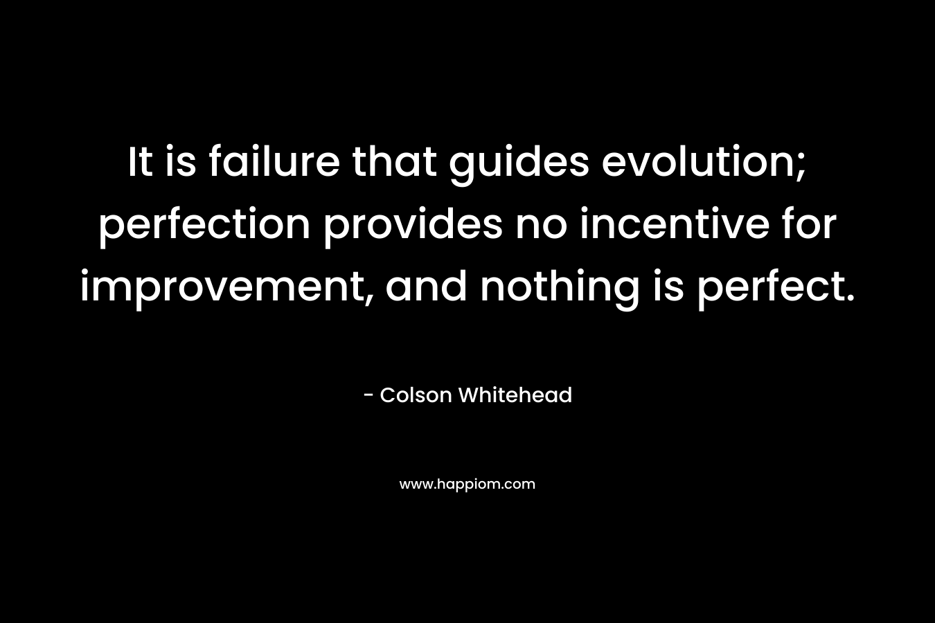 It is failure that guides evolution; perfection provides no incentive for improvement, and nothing is perfect. – Colson Whitehead