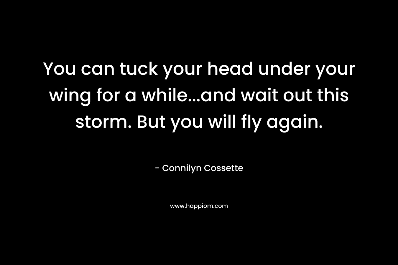 You can tuck your head under your wing for a while…and wait out this storm. But you will fly again. – Connilyn Cossette