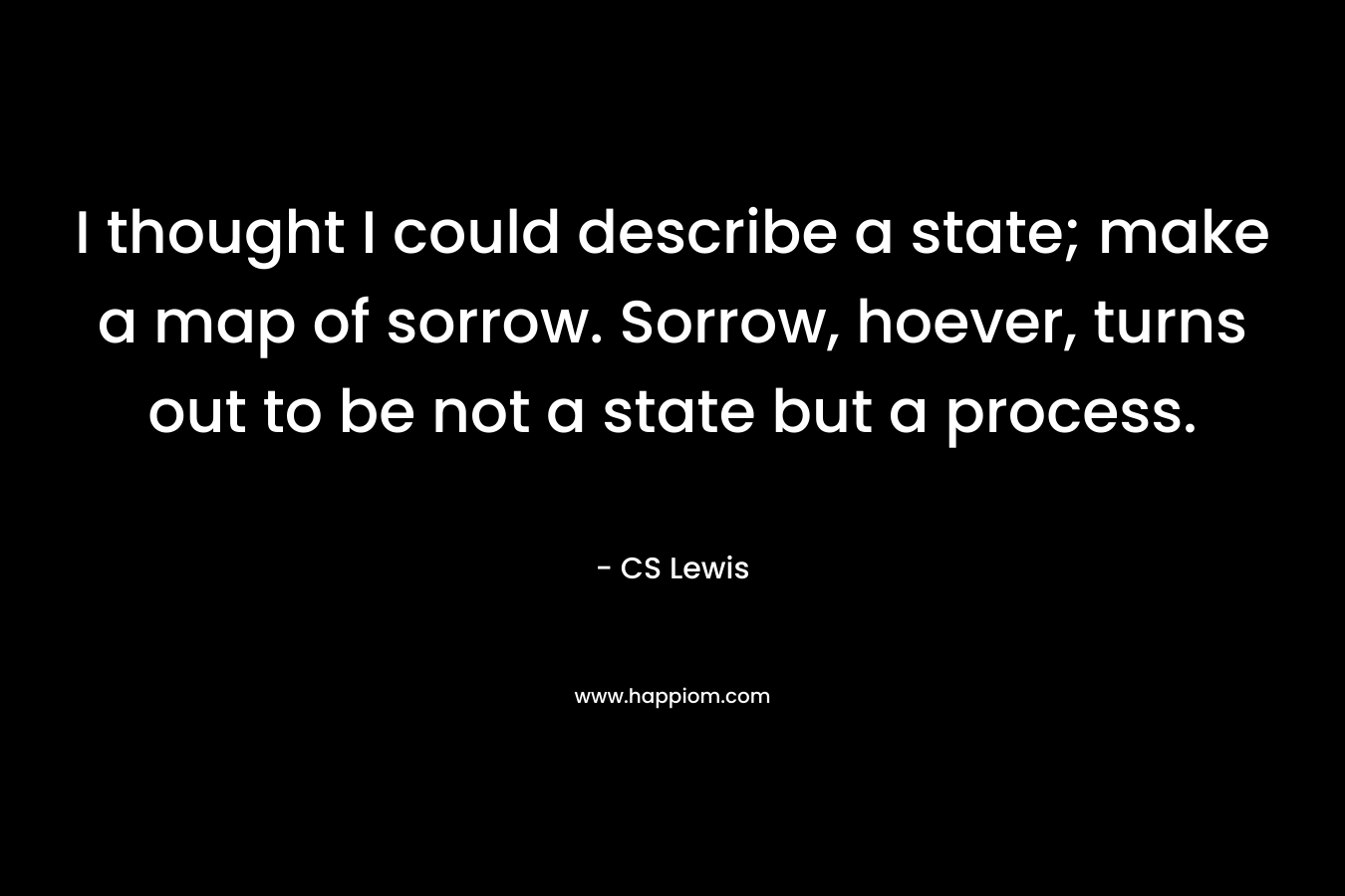 I thought I could describe a state; make a map of sorrow. Sorrow, hoever, turns out to be not a state but a process.