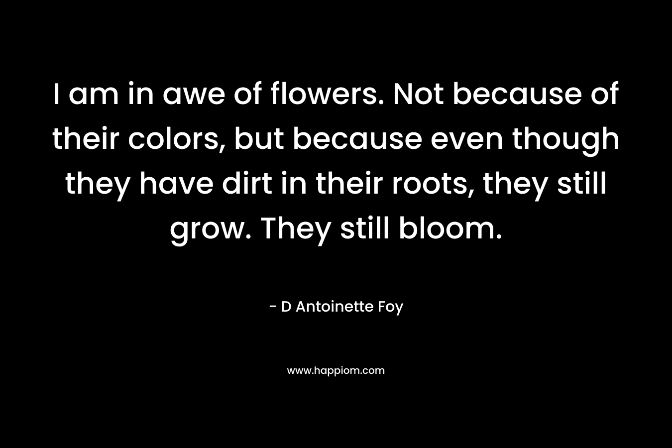 I am in awe of flowers. Not because of their colors, but because even though they have dirt in their roots, they still grow. They still bloom. – D Antoinette Foy
