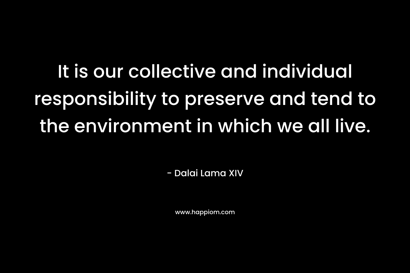 It is our collective and individual responsibility to preserve and tend to the environment in which we all live.
