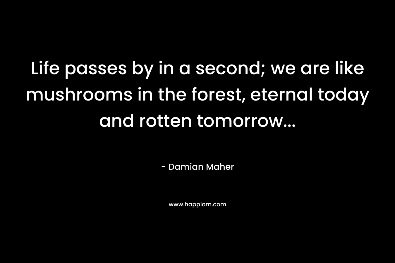 Life passes by in a second; we are like mushrooms in the forest, eternal today and rotten tomorrow...