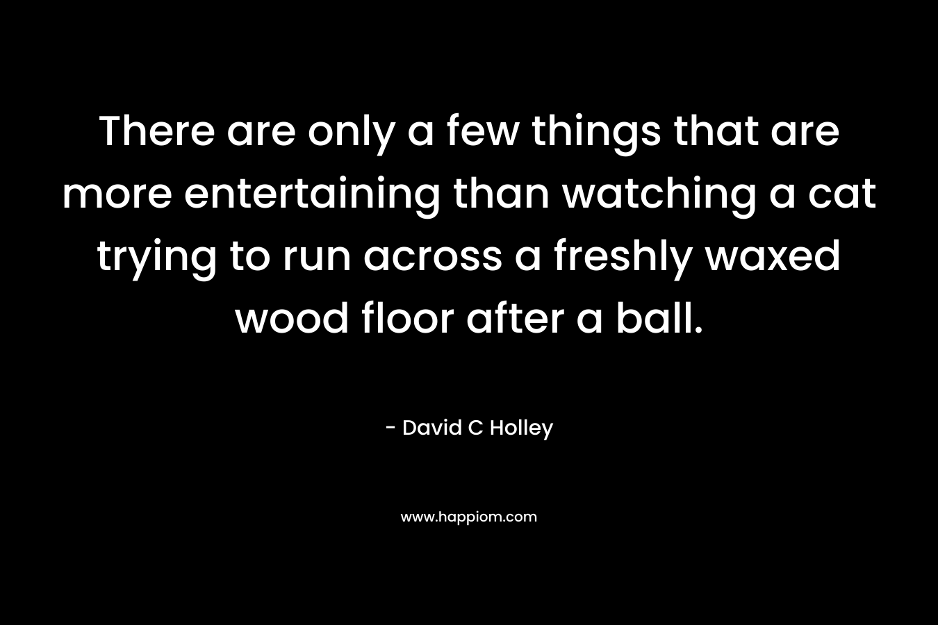There are only a few things that are more entertaining than watching a cat trying to run across a freshly waxed wood floor after a ball. – David C Holley