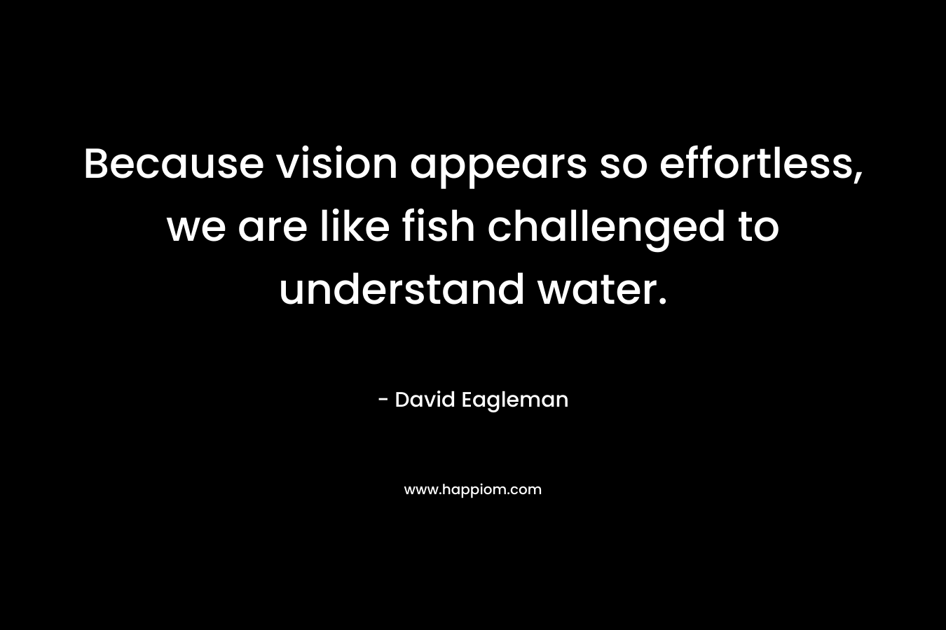 Because vision appears so effortless, we are like fish challenged to understand water. – David Eagleman