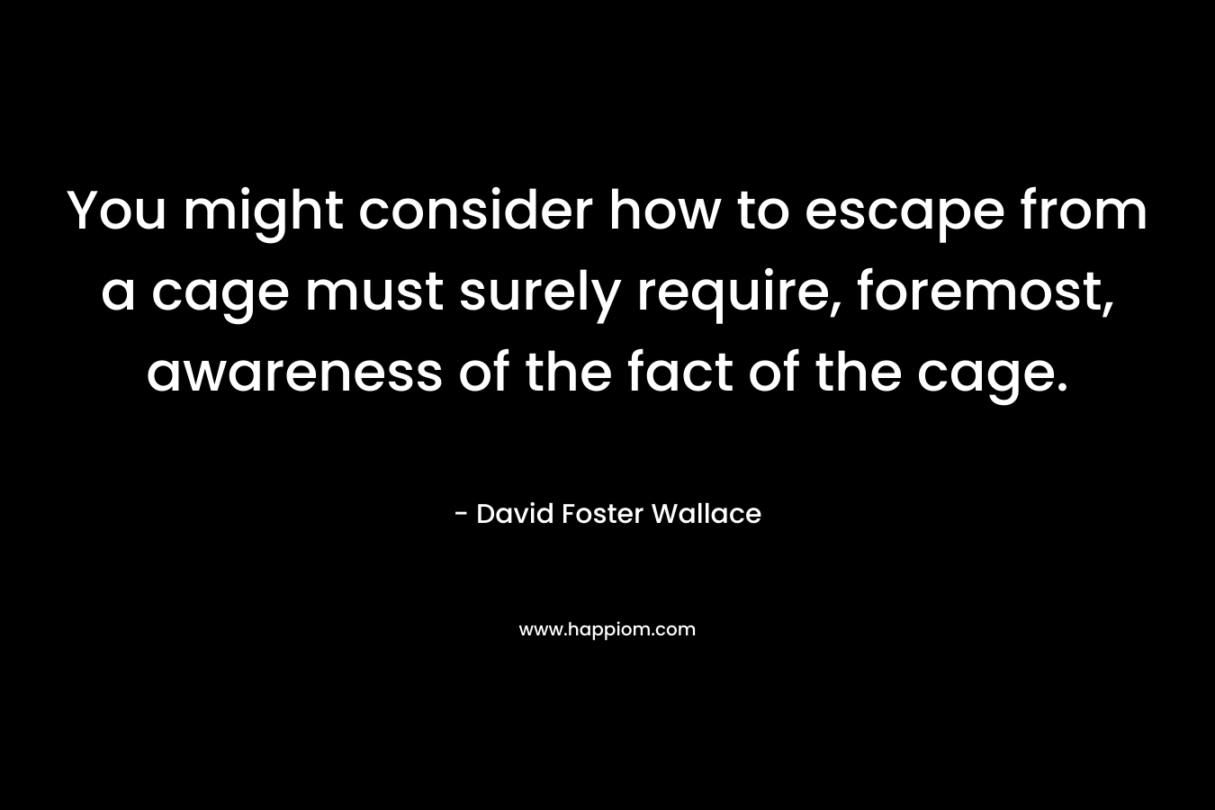 You might consider how to escape from a cage must surely require, foremost, awareness of the fact of the cage. – David Foster Wallace
