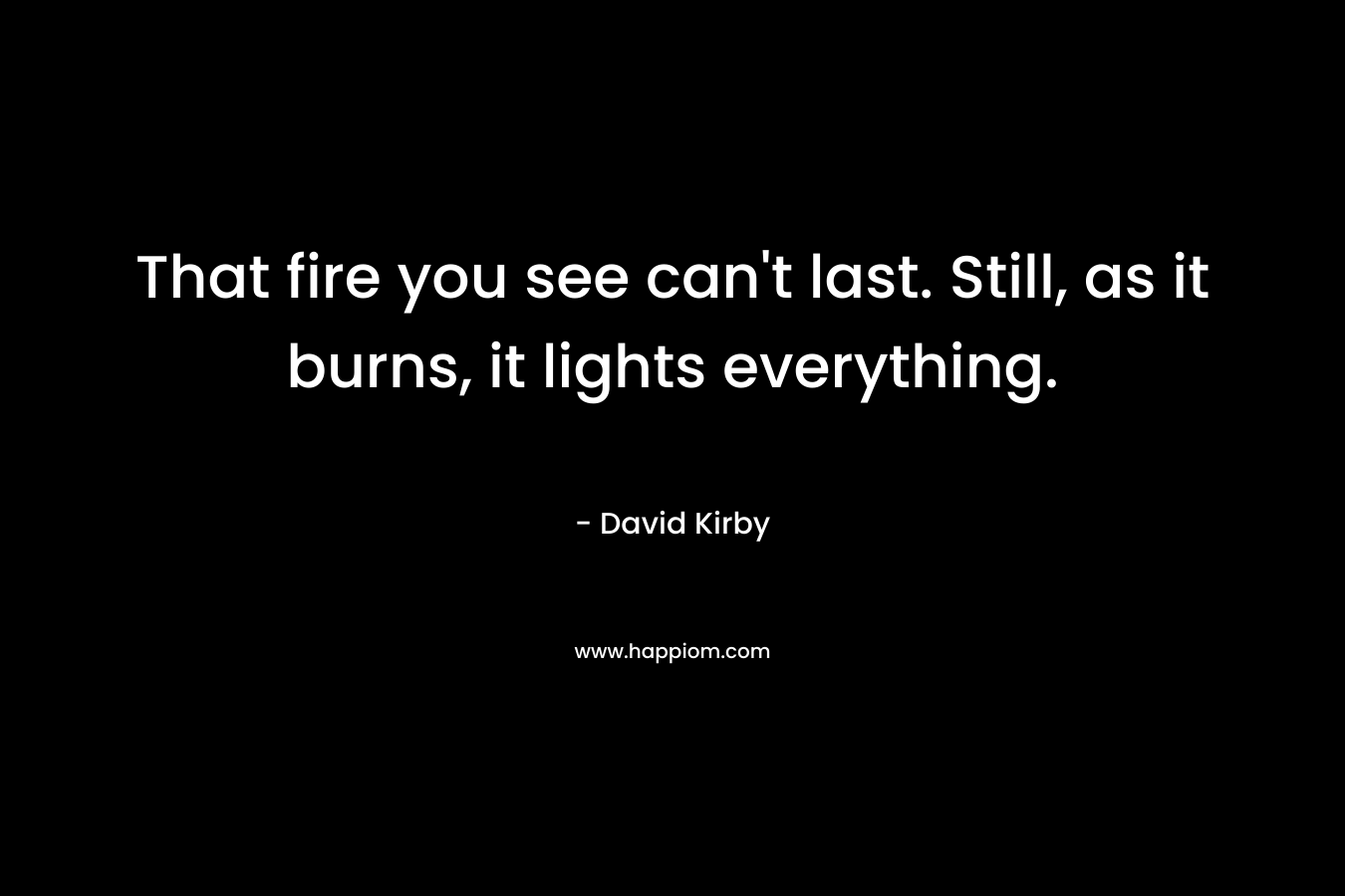 That fire you see can’t last. Still, as it burns, it lights everything. – David Kirby