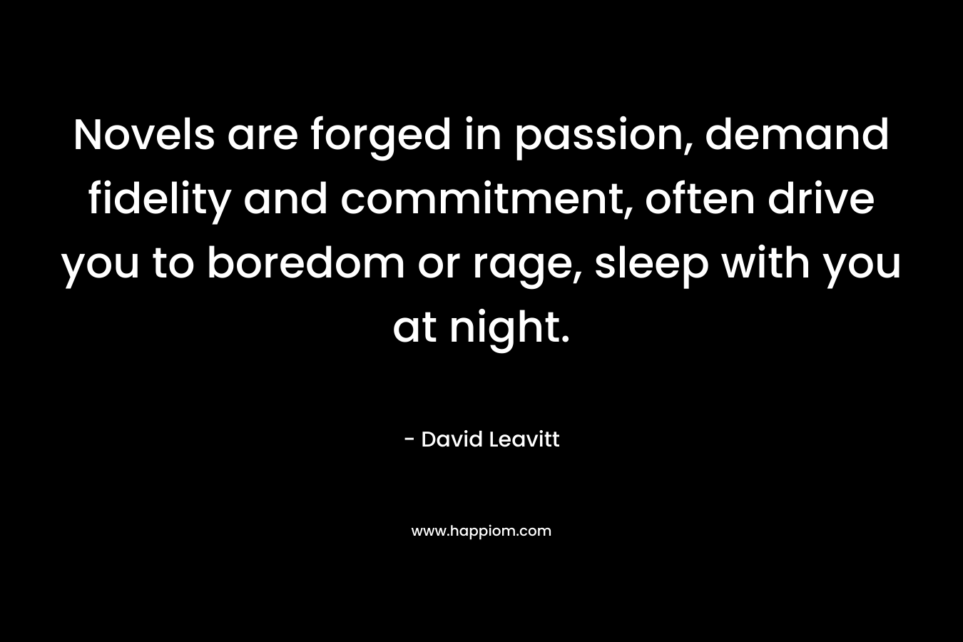Novels are forged in passion, demand fidelity and commitment, often drive you to boredom or rage, sleep with you at night.