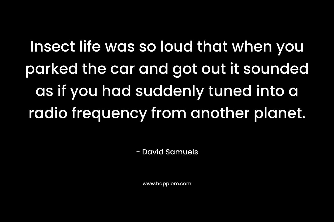 Insect life was so loud that when you parked the car and got out it sounded as if you had suddenly tuned into a radio frequency from another planet. – David Samuels