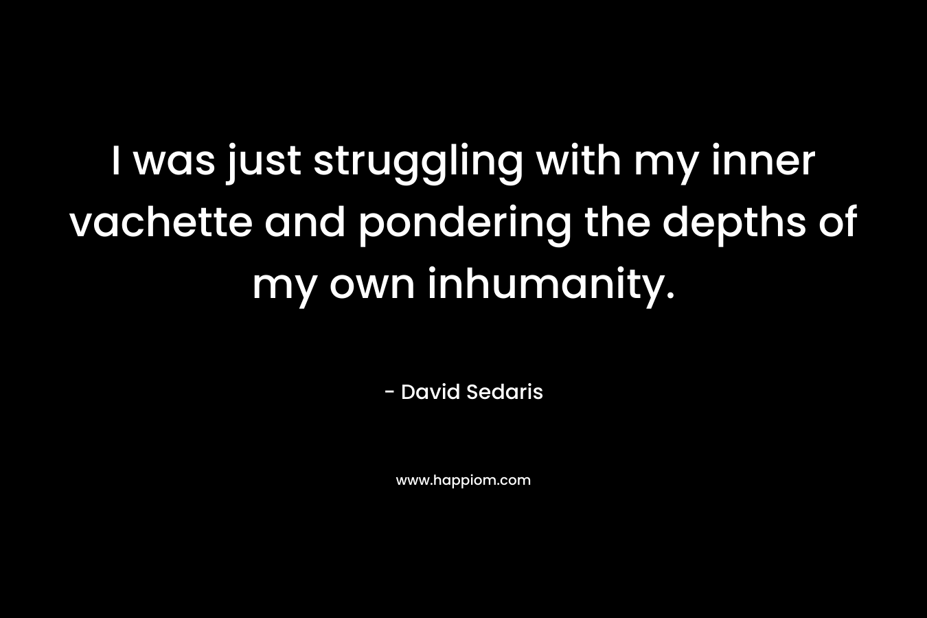 I was just struggling with my inner vachette and pondering the depths of my own inhumanity. – David Sedaris