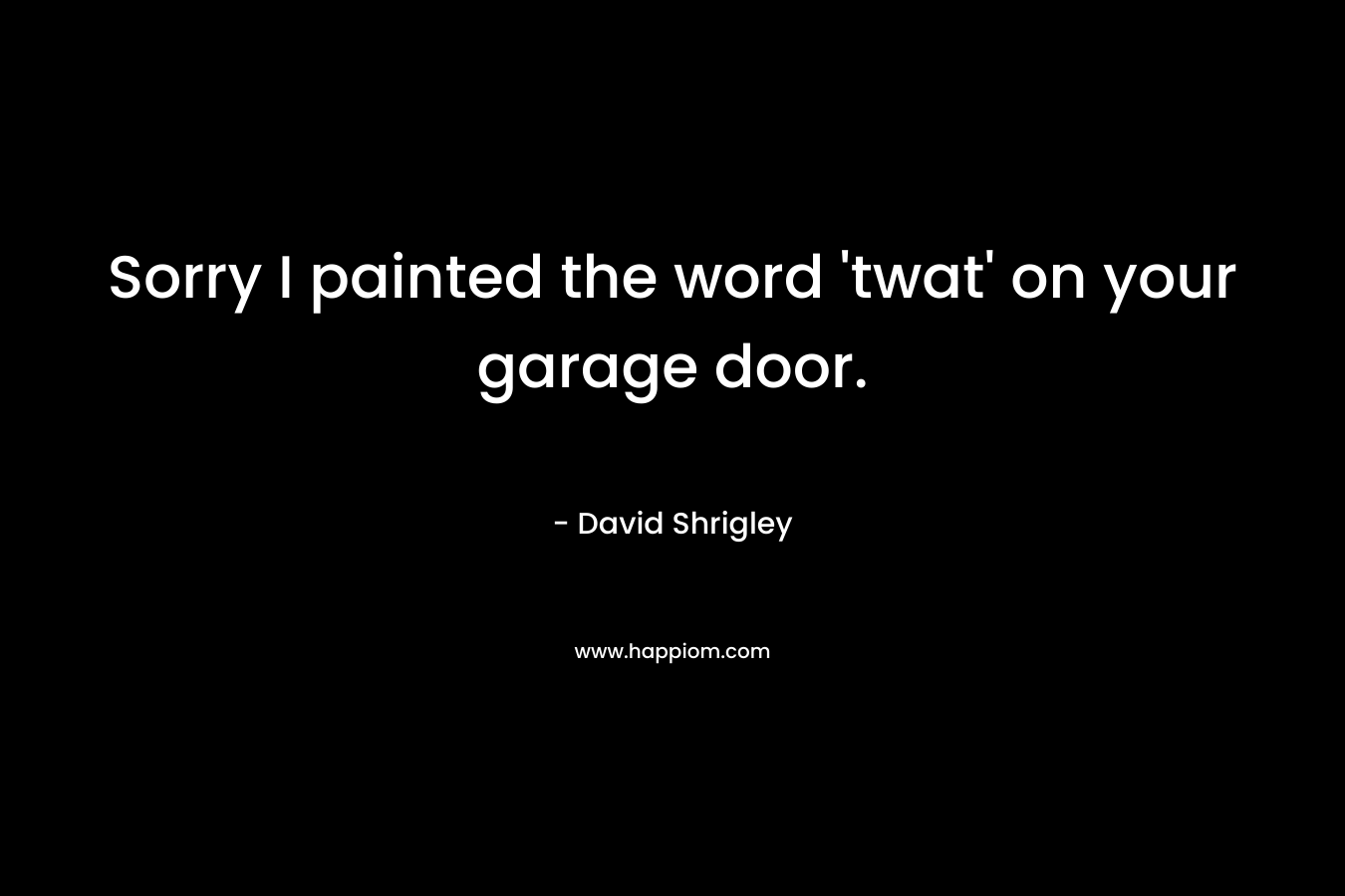 Sorry I painted the word ‘twat’ on your garage door. – David Shrigley