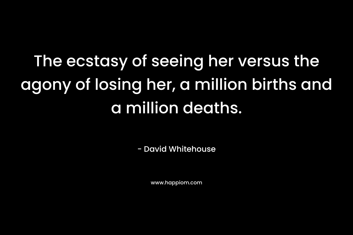 The ecstasy of seeing her versus the agony of losing her, a million births and a million deaths. – David  Whitehouse