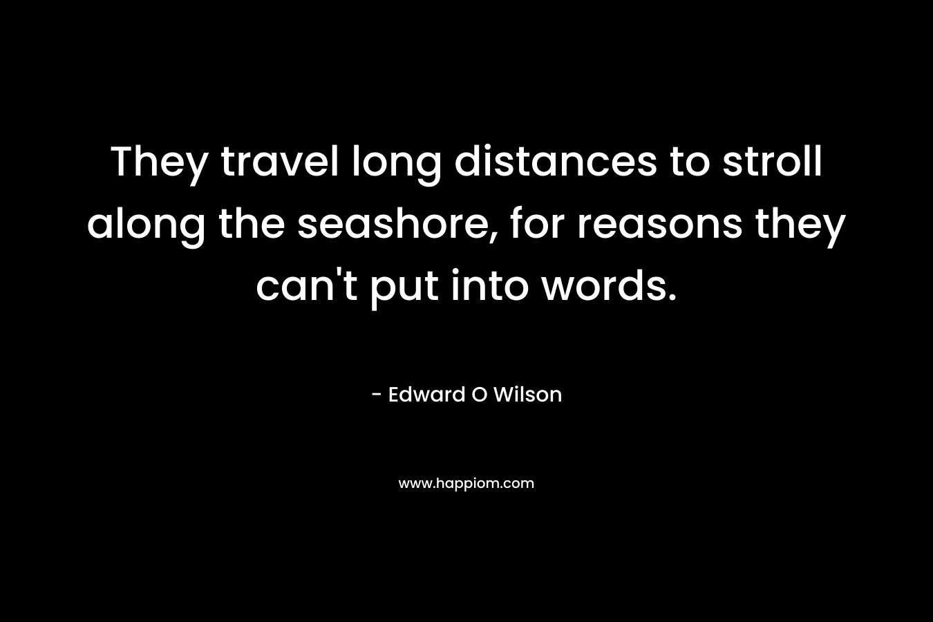 They travel long distances to stroll along the seashore, for reasons they can’t put into words. – Edward O Wilson