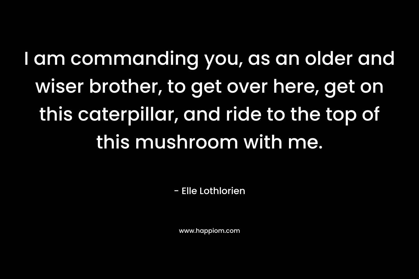 I am commanding you, as an older and wiser brother, to get over here, get on this caterpillar, and ride to the top of this mushroom with me. – Elle Lothlorien