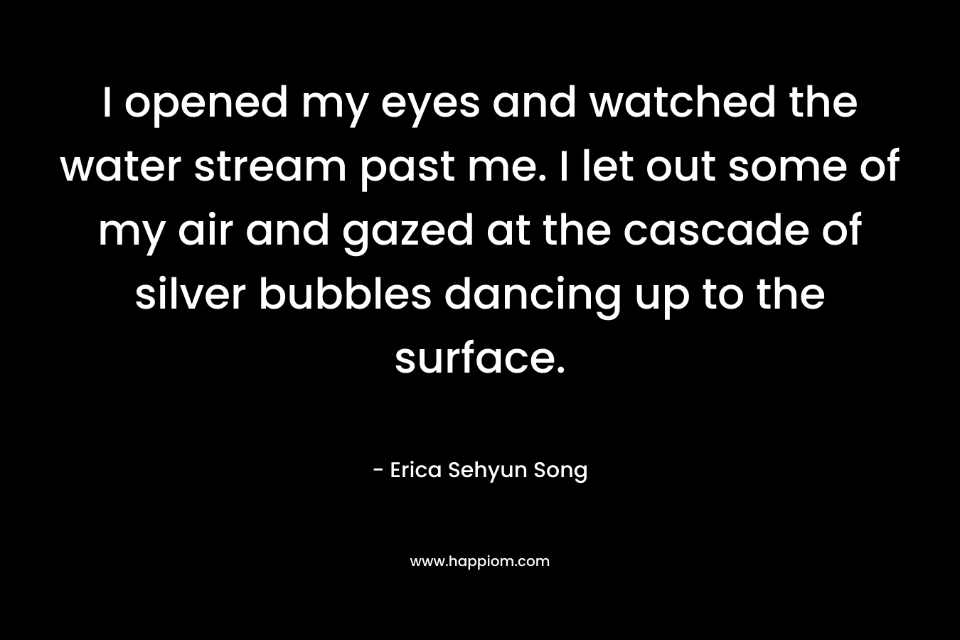 I opened my eyes and watched the water stream past me. I let out some of my air and gazed at the cascade of silver bubbles dancing up to the surface. – Erica Sehyun Song
