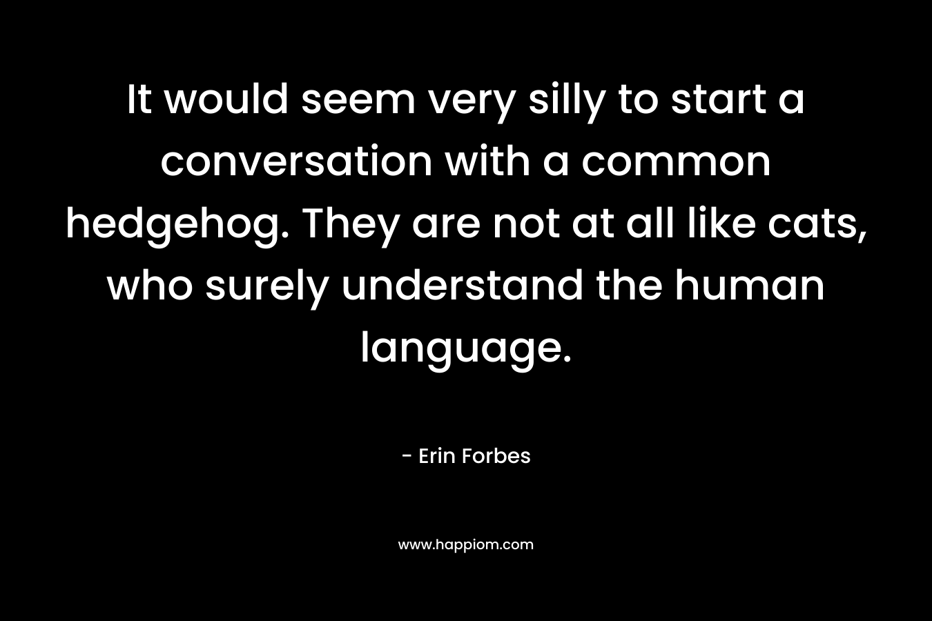 It would seem very silly to start a conversation with a common hedgehog. They are not at all like cats, who surely understand the human language.