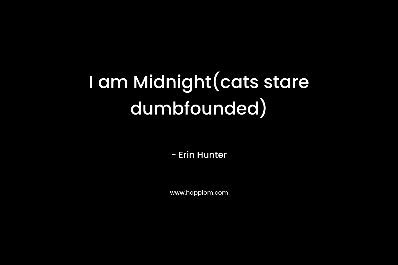 I am Midnight(cats stare dumbfounded)