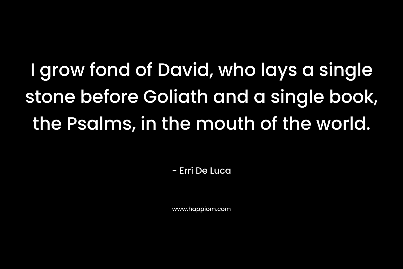 I grow fond of David, who lays a single stone before Goliath and a single book, the Psalms, in the mouth of the world.